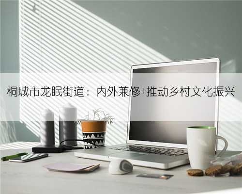 桐城市龙眠街道：内外兼修 推动乡村文化振兴