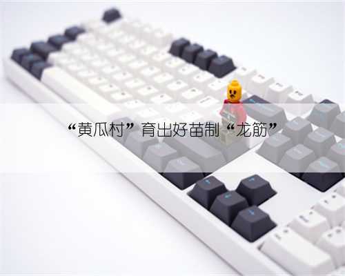 “黄瓜村”育出好苗制“龙筋”