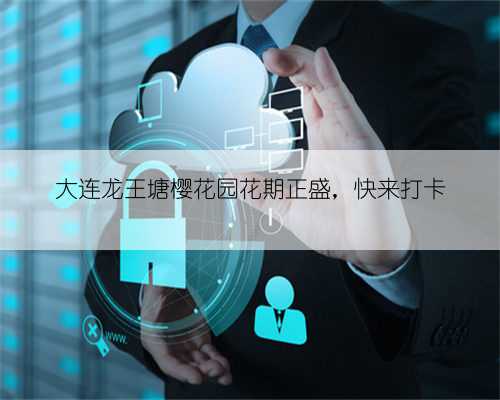 大连龙王塘樱花园花期正盛,快来打卡