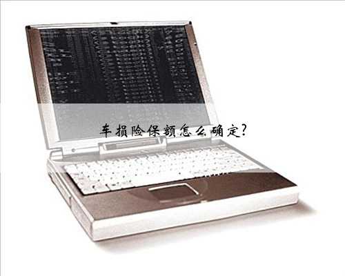 车损险保额怎么确定?