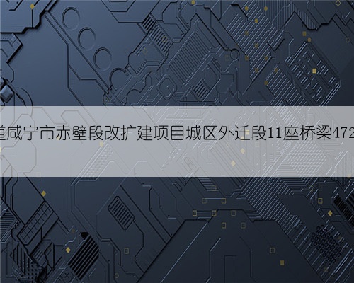 湖北省重点工程107国道咸宁市赤壁段改扩建项目城区外迁段11座桥梁472片预制梁