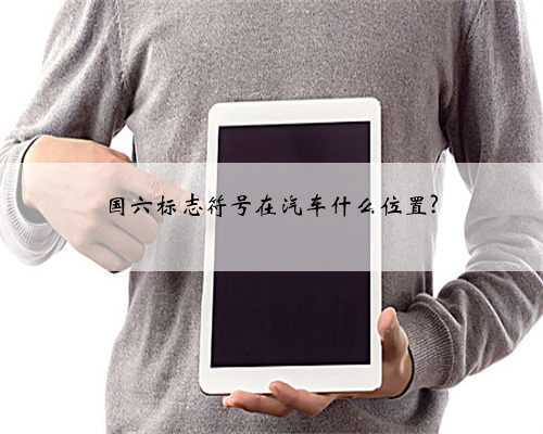 国六标志符号在汽车什么位置?