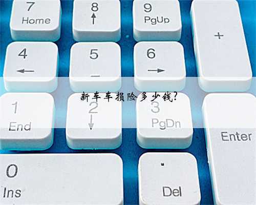 新车车损险多少钱?