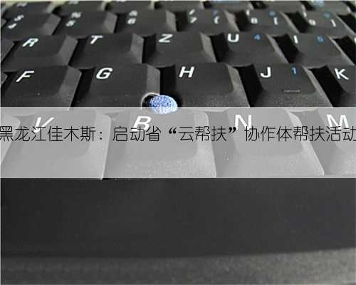 黑龙江佳木斯:启动省“云帮扶”协作体帮扶活动