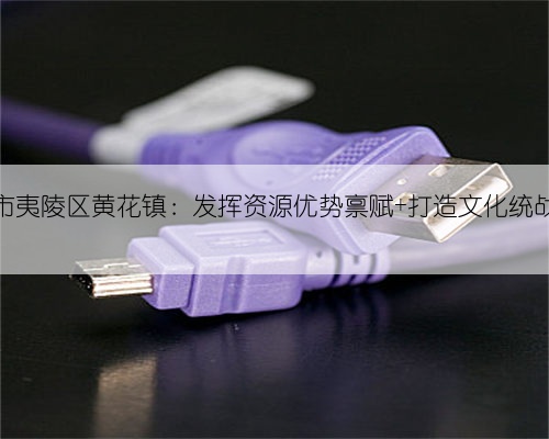 宜昌市夷陵区黄花镇：发挥资源优势禀赋 打造文化统战品牌