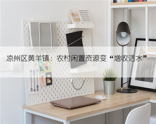 凉州区黄羊镇:农村闲置资源变“增收活水”