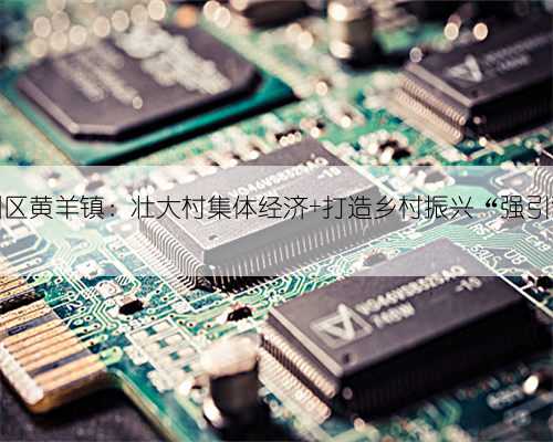 凉州区黄羊镇：壮大村集体经济 打造乡村振兴“强引擎”