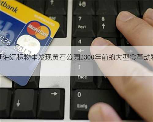 湖泊沉积物中发现黄石公园2300年前的大型食草动物