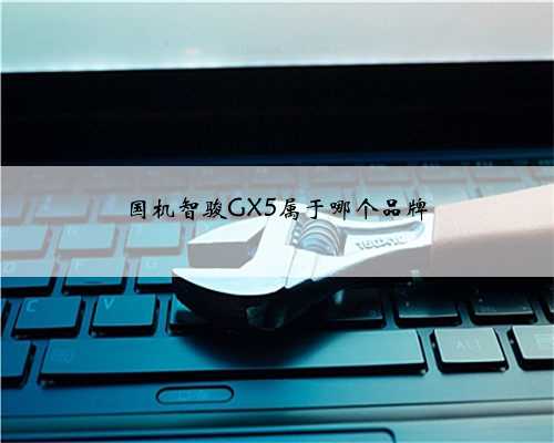 国机智骏GX5属于哪个品牌
