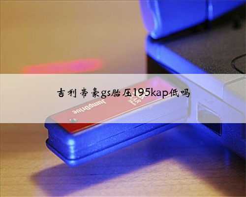 吉利帝豪gs胎压195kap低吗
