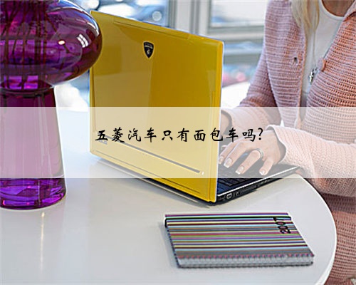 五菱汽车只有面包车吗?