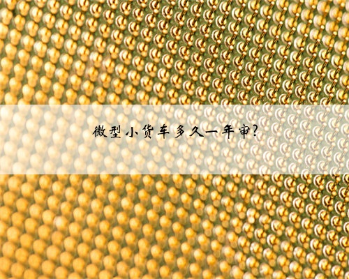 微型小货车多久一年审?