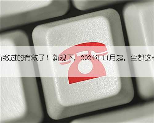 社保断缴过的有救了！新规下，2024年11月起，全都这样处理