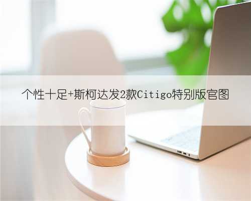 个性十足 斯柯达发2款Citigo特别版官图