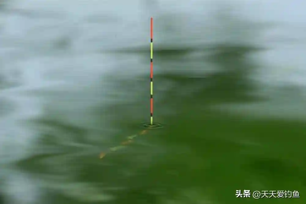 钓鱼调漂技巧，调漂满足这3个条件，中鱼率能翻好几倍