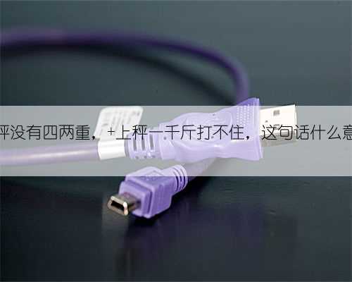 不上秤没有四两重， 上秤一千斤打不住，这句话什么意思？
