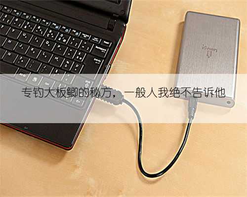 专钓大板鲫的秘方，一般人我绝不告诉他