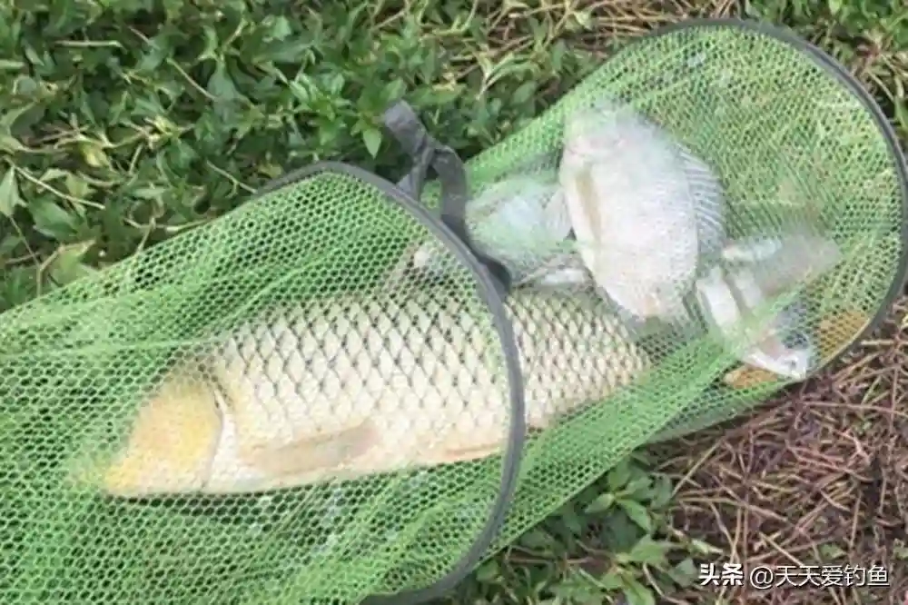 钓鱼调漂技巧，调漂满足这3个条件，中鱼率能翻好几倍