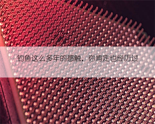 钓鱼这么多年的感触，你肯定也经历过
