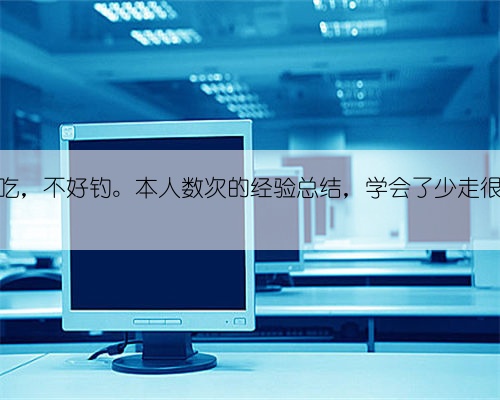 鲈鱼好吃，不好钓。本人数次的经验总结，学会了少走很多弯路