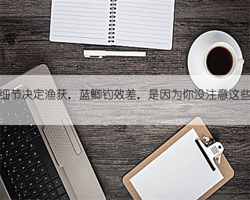 细节决定渔获,蓝鲫钓效差,是因为你没注意这些