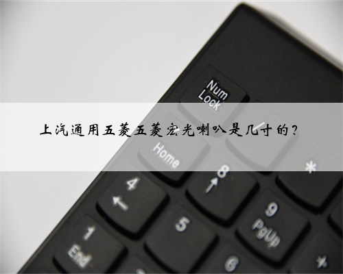 上汽通用五菱五菱宏光喇叭是几寸的?
