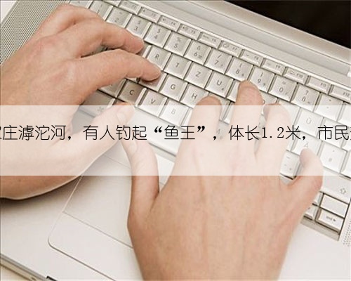 石家庄滹沱河，有人钓起“鱼王”，体长1.2米，市民热议