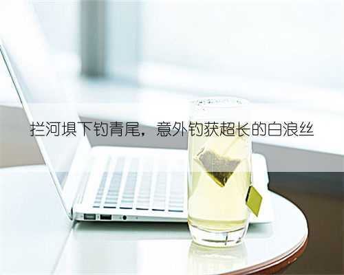 拦河埧下钓青尾,意外钓获超长的白浪丝