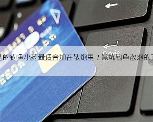 什么类型的钓鱼小药最适合加在散炮里？黑坑钓鱼散炮的正确用法
