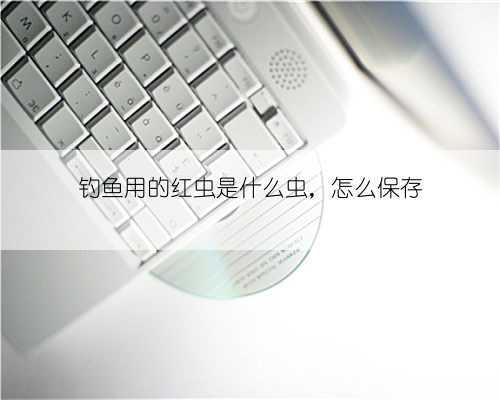 钓鱼用的红虫是什么虫，怎么保存