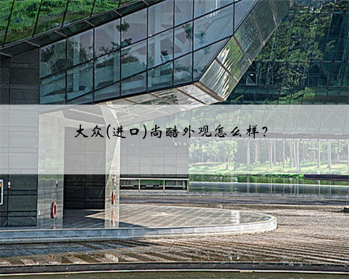 大众(进口)尚酷外观怎么样？