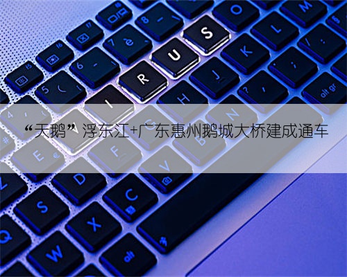 “天鹅”浮东江 广东惠州鹅城大桥建成通车