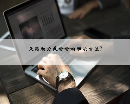 天籁助力泵嗡嗡响解决方法?
