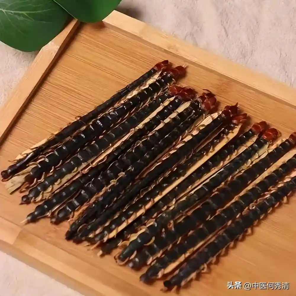 我以猛虫入药，调男科有奇效！用对了，软虫化腾龙，久战不倒！