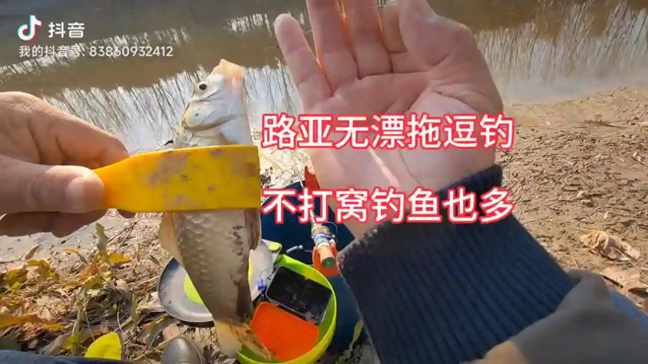 徐州好钓点，鱼获多多 #钓鱼人