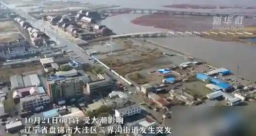 幼龙？大连海水倒灌，冲进屋里一条生物，似蛇非蛇，头上好像有角