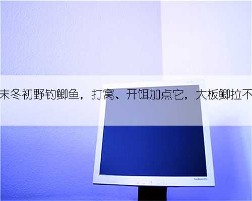 秋末冬初野钓鲫鱼,打窝、开饵加点它,大板鲫拉不停