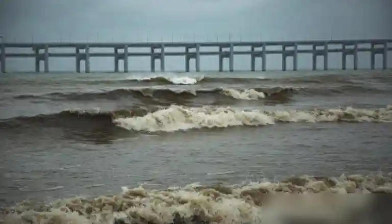 幼龙？大连海水倒灌，冲进屋里一条生物，似蛇非蛇，头上好像有角