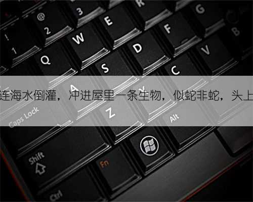 幼龙？大连海水倒灌，冲进屋里一条生物，似蛇非蛇，头上好像有角