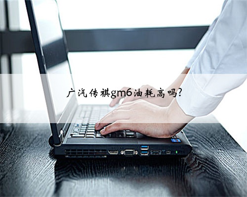 广汽传祺gm6油耗高吗?
