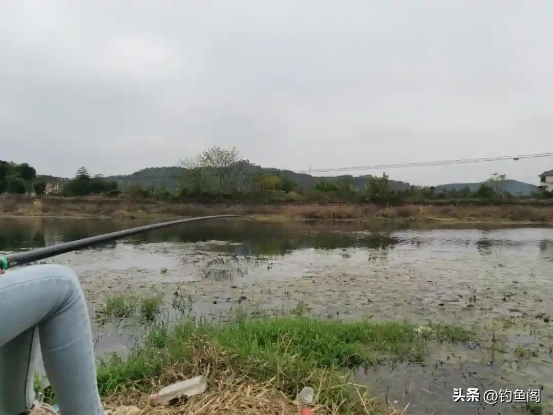 迟迟不上鱼,劝你别死守!深秋以后野钓,“找鱼”是关键