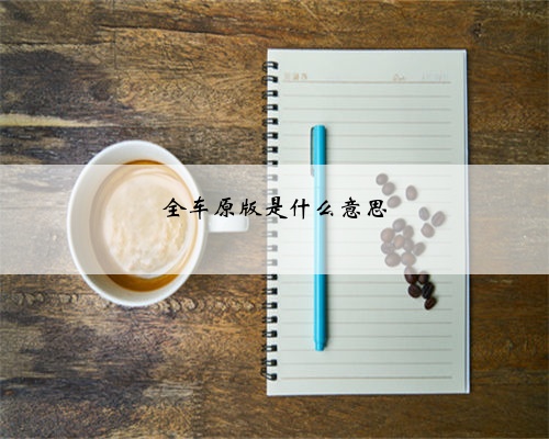 全车原版是什么意思