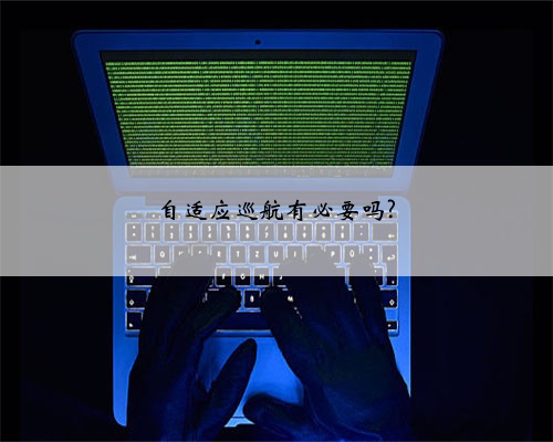 自适应巡航有必要吗?