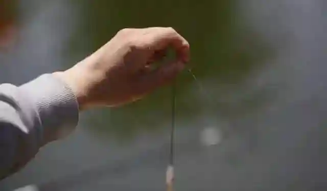 选漂很简单,只要看这篇!