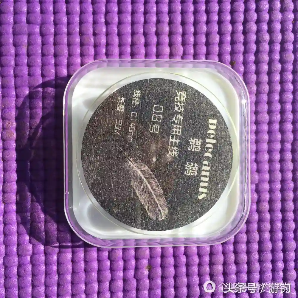 初春首钓,不亦快哉