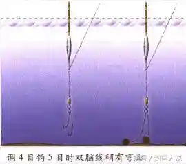 不会浮漂的调灵与调顿，怎么钓好鱼？