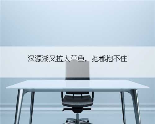 汉源湖又拉大草鱼，抱都抱不住
