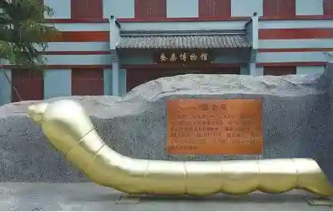 农民挖出一只金蚕,借50元路费到博物馆捐赠