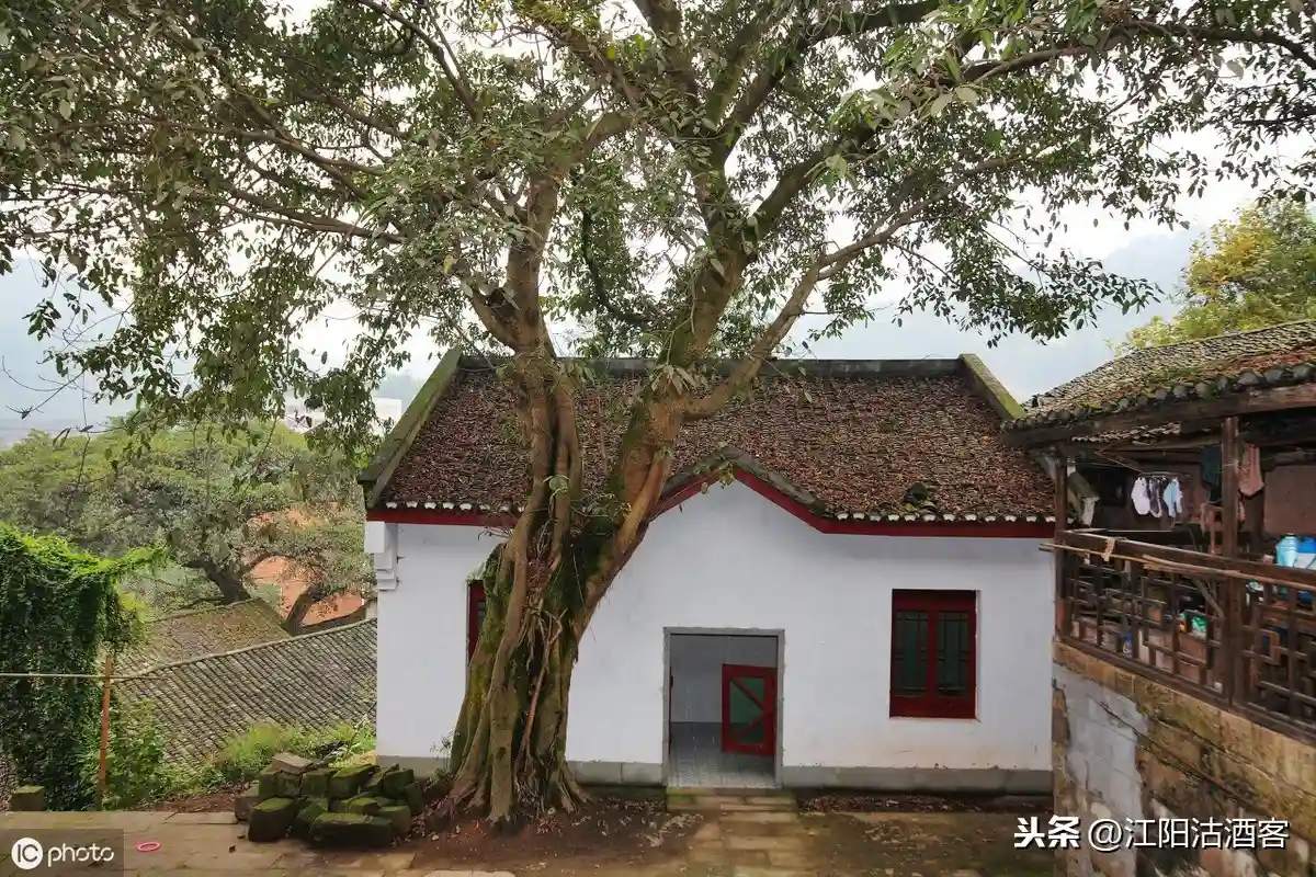 在合江福宝镇曾经有个“百炮塘”,出过一个叫黄大力的奇人