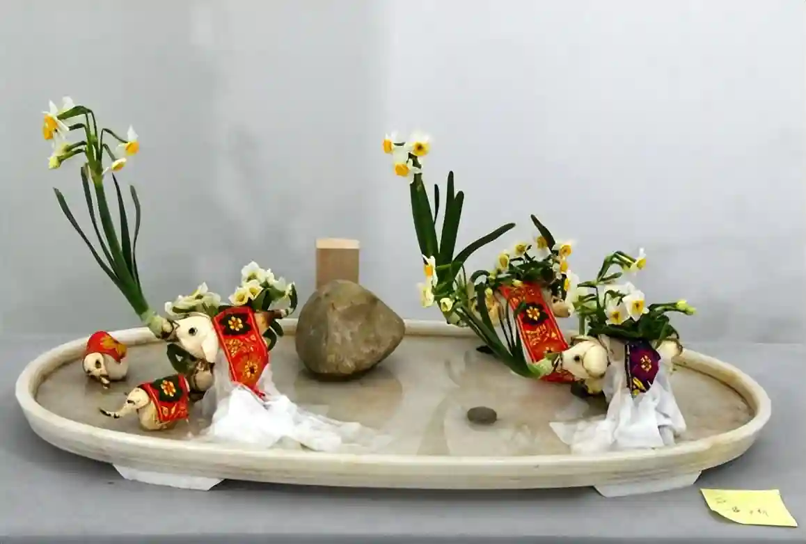 水仙、洋水仙，最大的区别是这点
